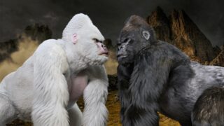 もしかして、ゲテモノ好きですか?