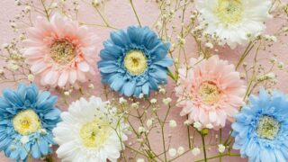 おうし座の新月について またChatGPTに書いてもらいました。