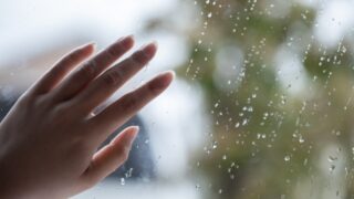 広末涼子さんと鳥羽周作さんを占ってみました。