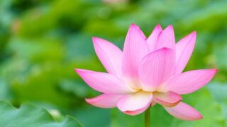 ChatGPTによる　７月の星占い